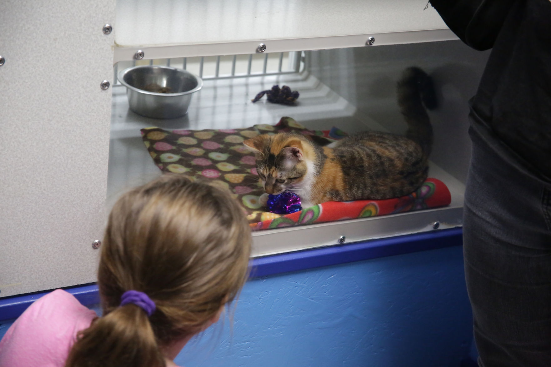 Humane Indiana opens at Alsip_0803.JPG